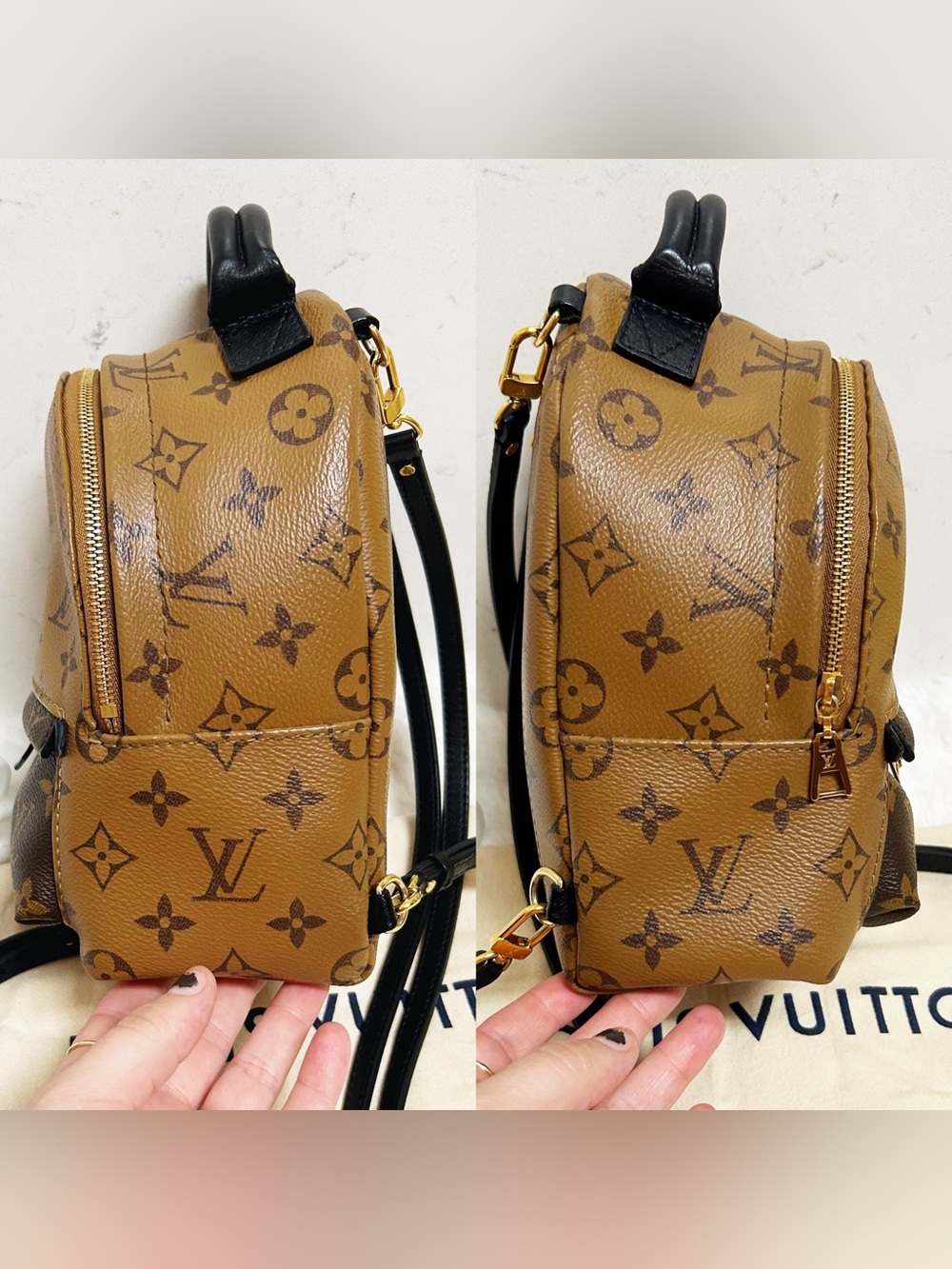 Authentic Louis Vuitton Reverse Monogram Palm Springs Mini Backpack / Bag - Picture 6 of 16